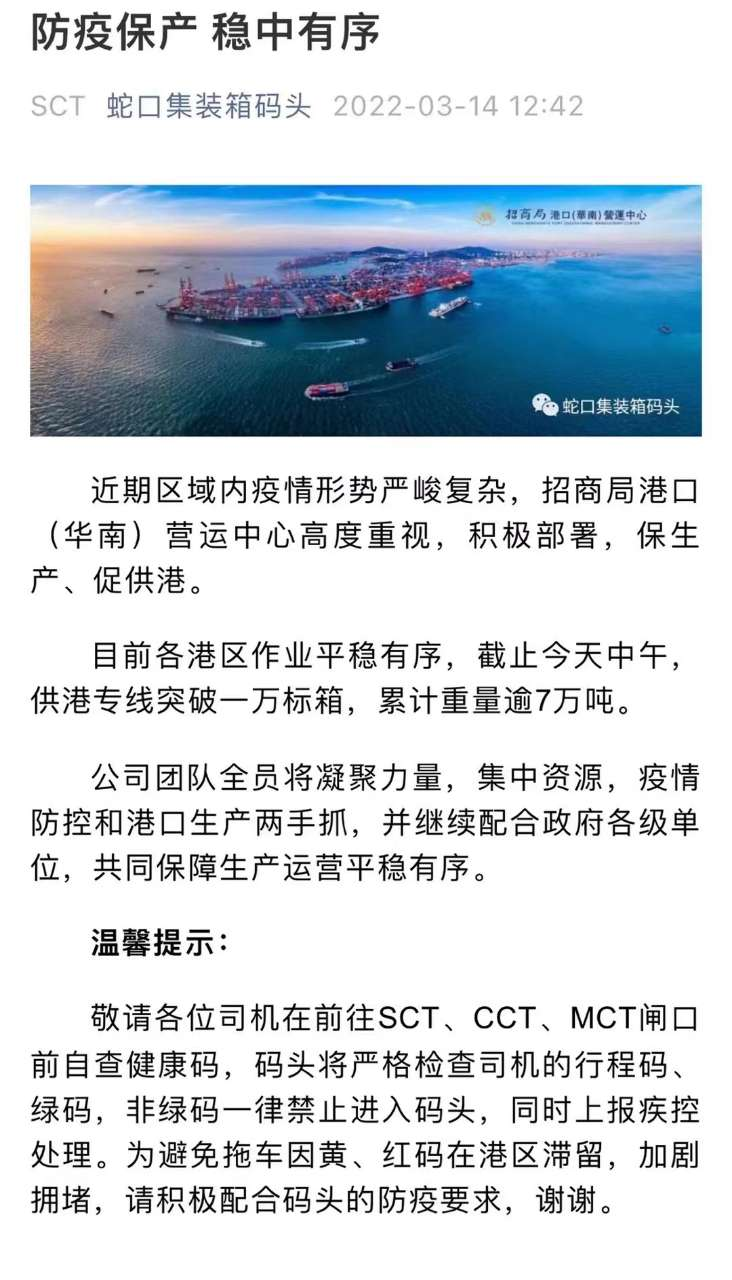 大森林 大森林