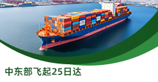 中東部飛起25日達