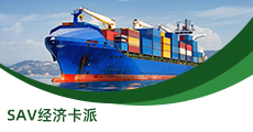 SAV經濟卡派