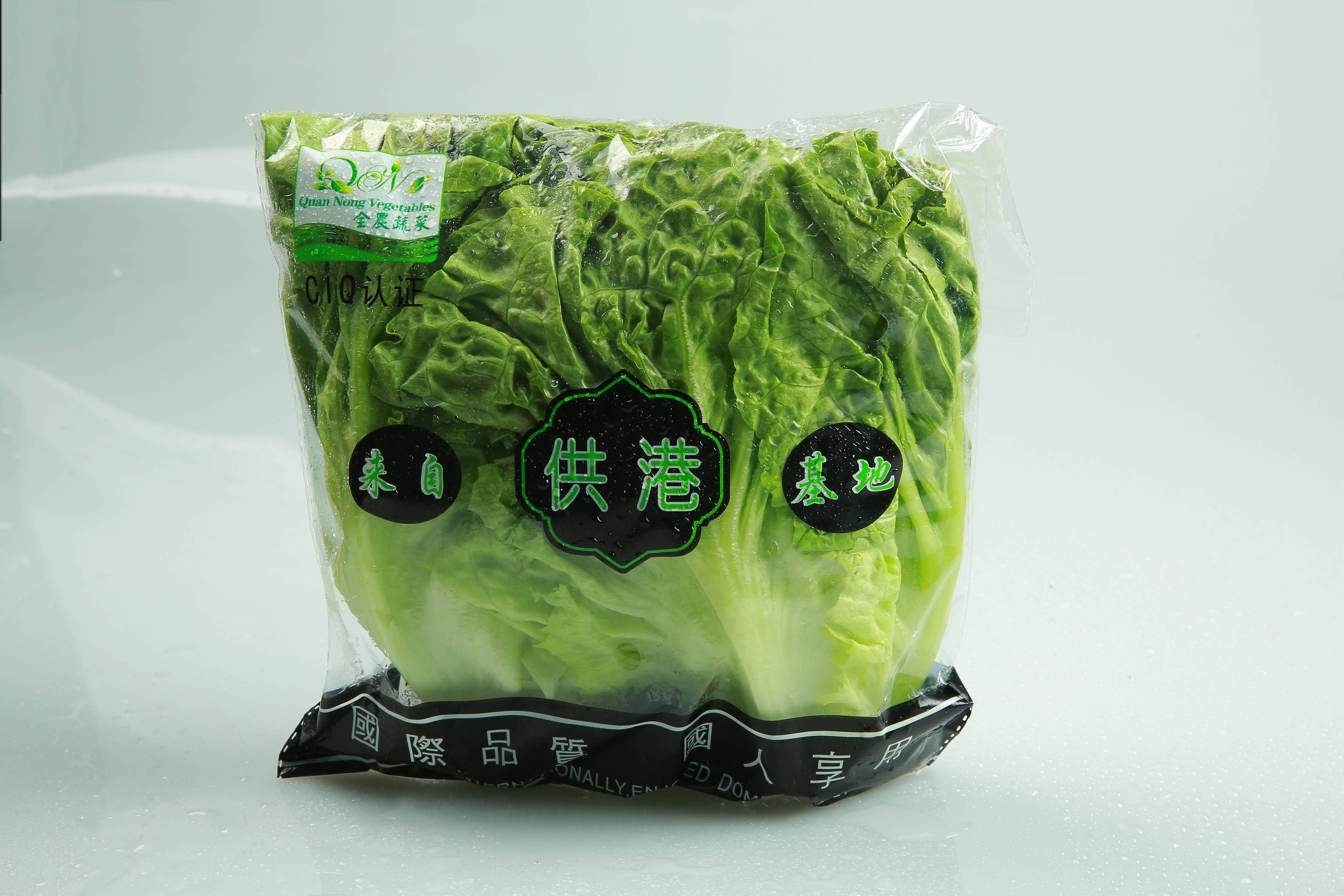精品生菜